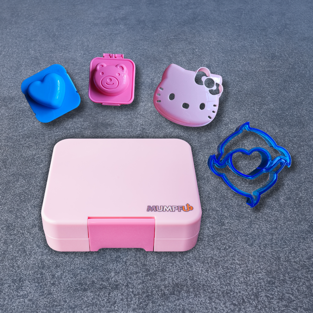 Bundle 2 - Box XS + 4 x Zubehör