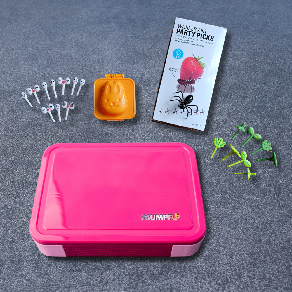 Bundle 1 - Box M + 4 x Zubehör