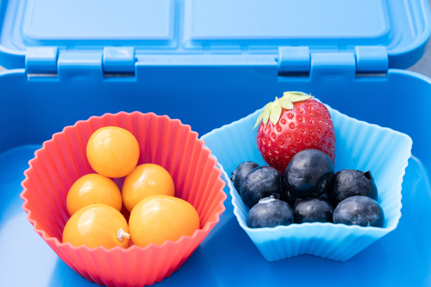 Silikon Muffinformen 5er Set