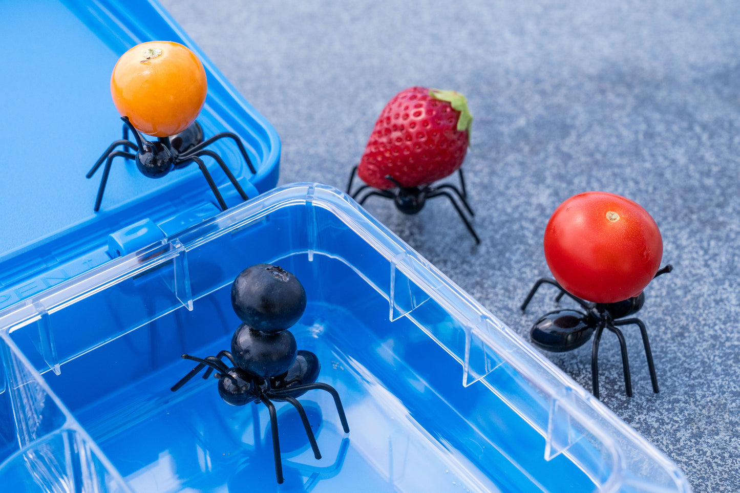 Ameisen Stocher Obst/Gemüse Set Kinder 12 Stk.