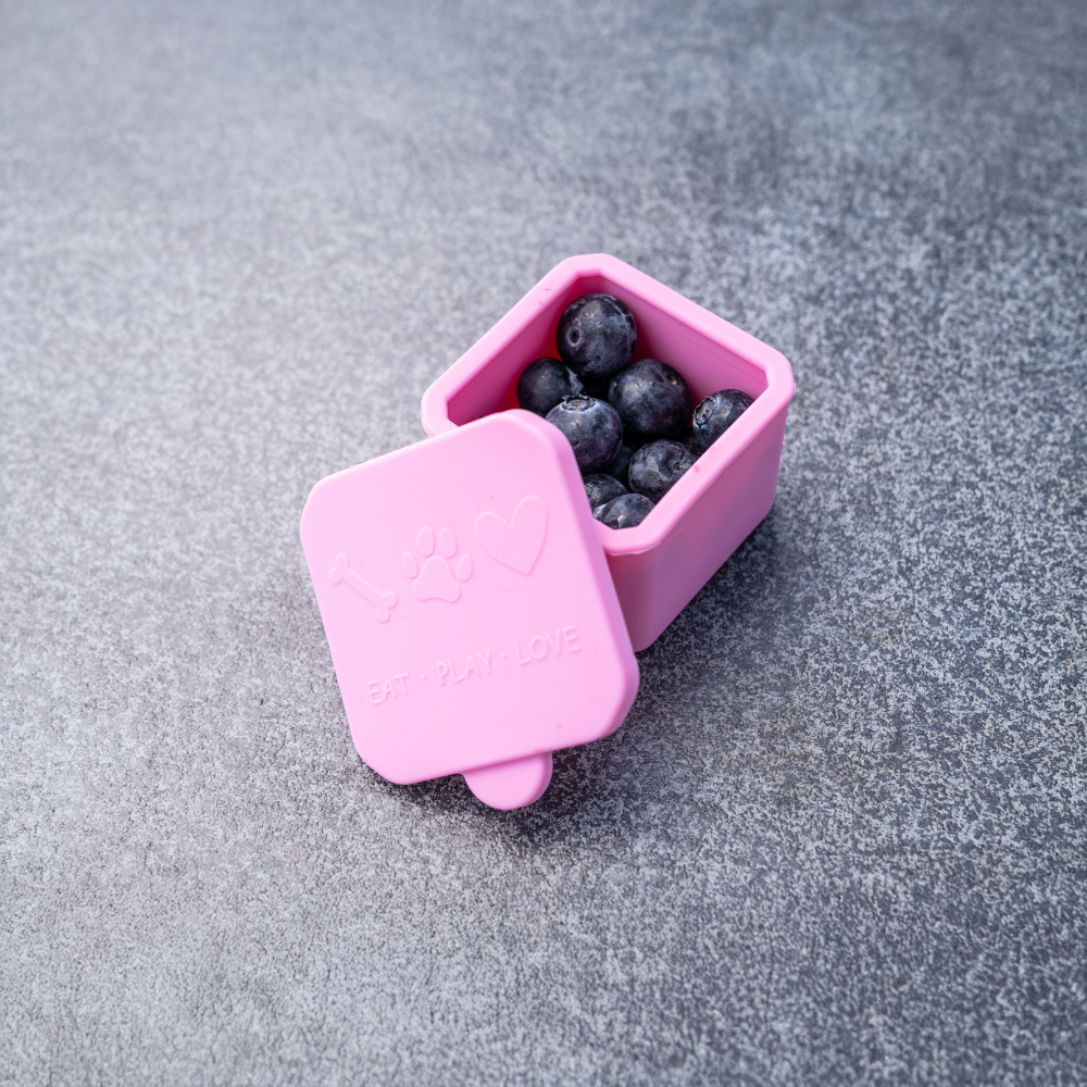 Mini Box mit Deckel für Brotbox