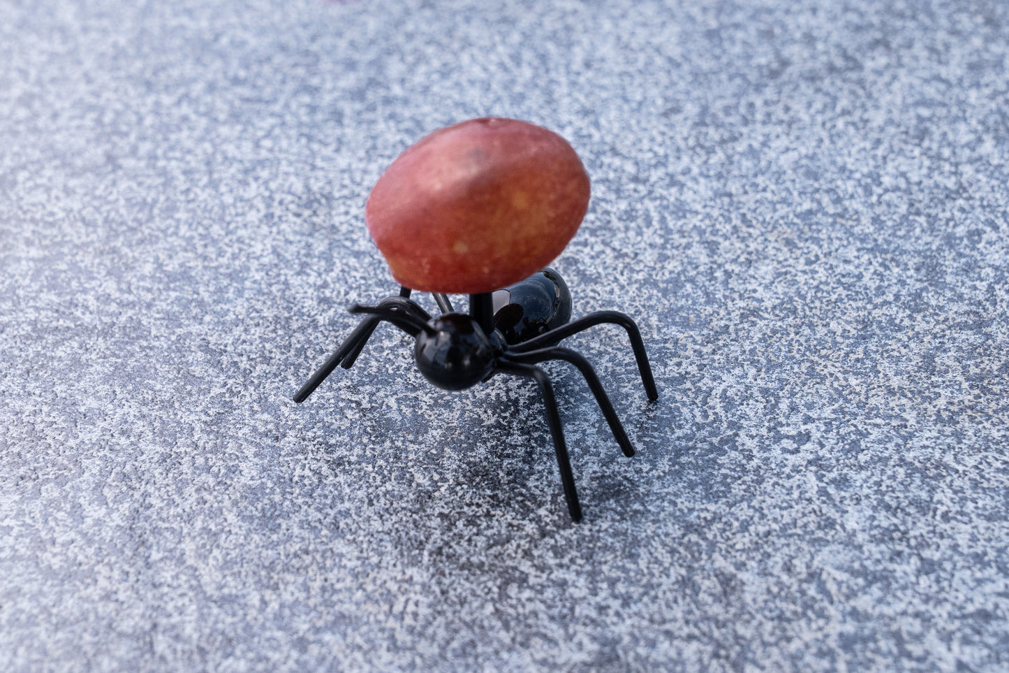 Ameisen Stocher Obst/Gemüse Set Kinder 12 Stk.