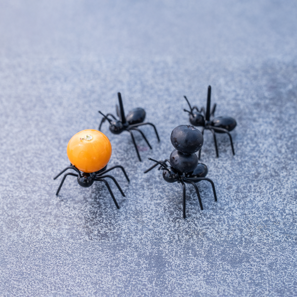 Ameisen Stocher Obst/Gemüse Set Kinder 12 Stk.