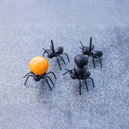 Ameisen Stocher Obst/Gemüse Set Kinder 12 Stk.